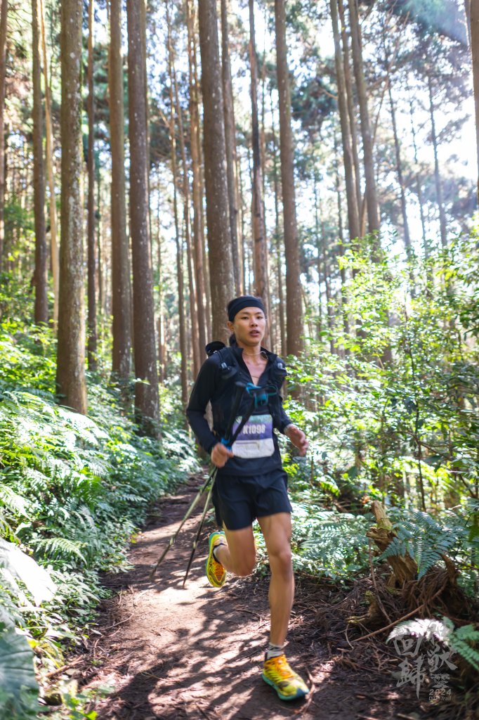 20241228之向天湖山 加里山 哈堪尼山 虎山西南峰 南大龜山 三角湖山_2688701