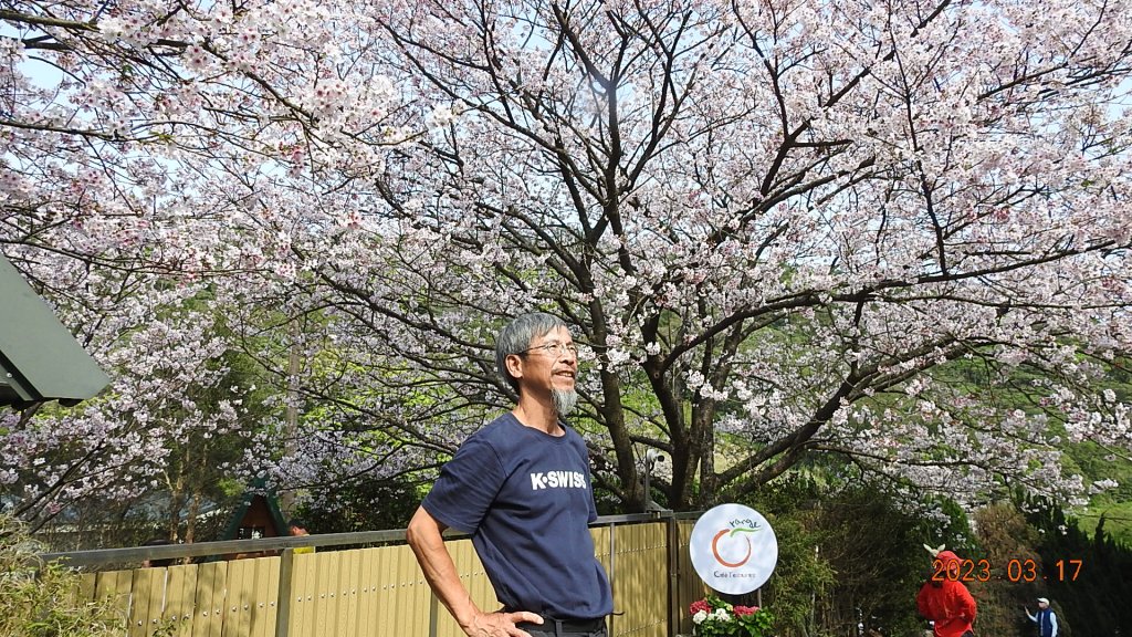 追花是簡單的快樂，賞花是恬淡的幸福。3/17_2073480