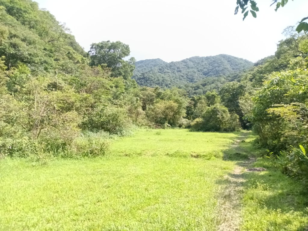 雙溪區威惠廟+下坑山+570峰+大埤格+崩山坑古道O型封面圖