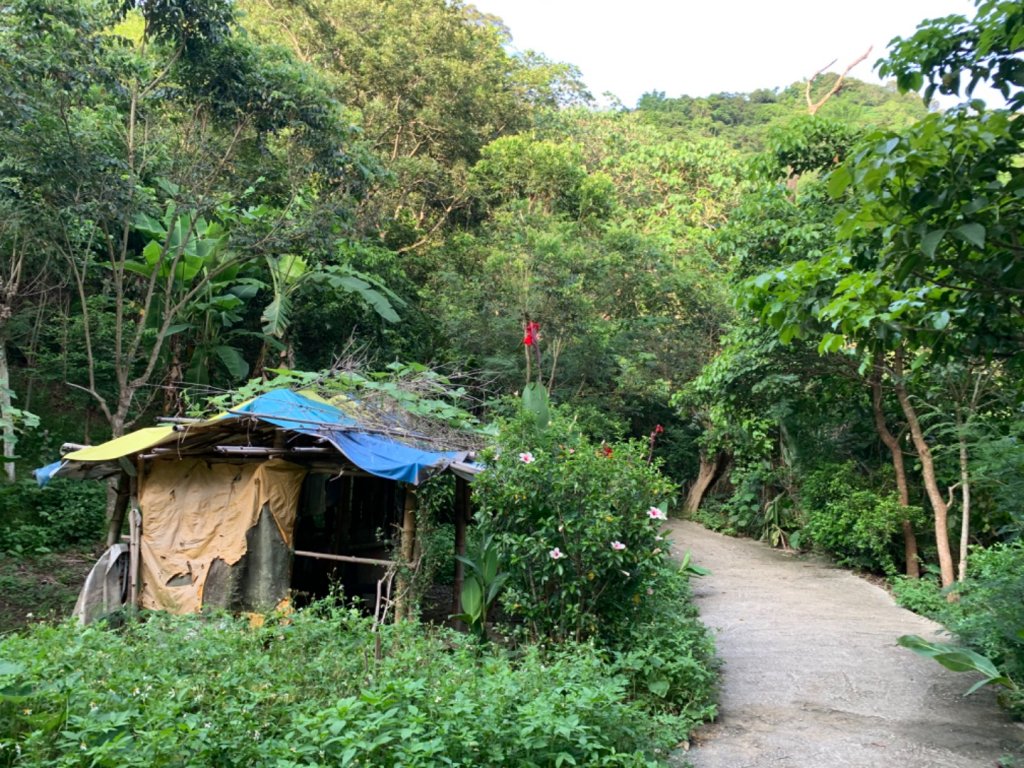 台中市太平區三汀山（小百岳）_1028968