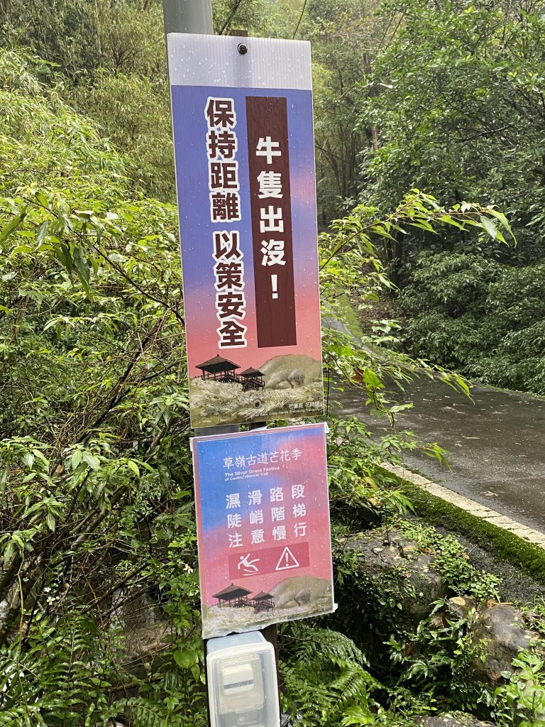《2025草嶺古道芒花季｜雨天版完整攻略 × 七顆寶石路線實走》_2949327