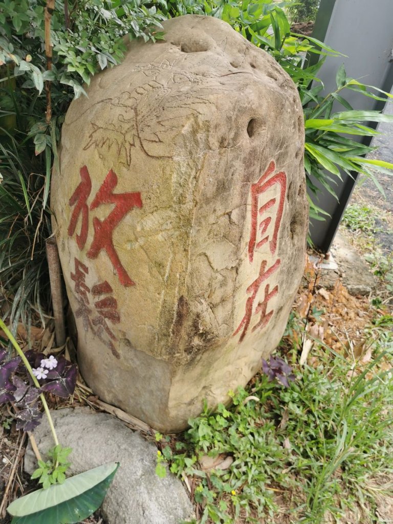 清水岩十八彎、中央嶺步道-貨運及造林要道_1048070