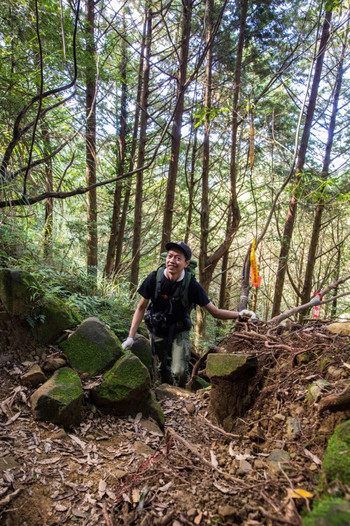 水樣森林 第一次在山裡過夜_659720