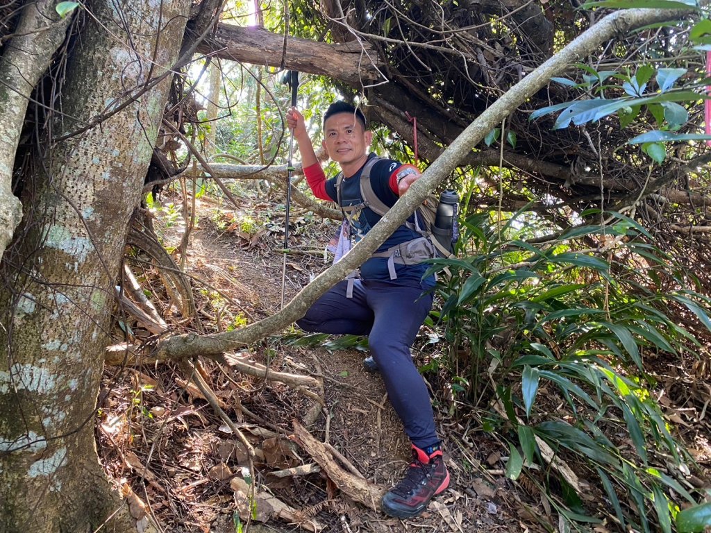 風櫃斗.牛稠坑.二坪山古道【遙知不是雪，為有暗香來】_2703854