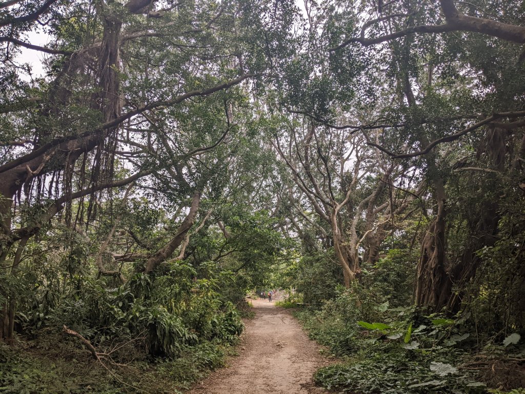 【台灣健行】壽山國家自然公園_2718929