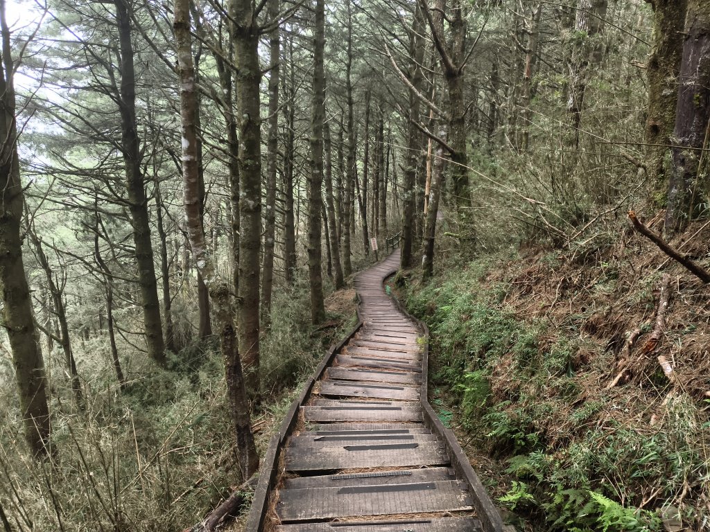 [玉山尋寶任務-08/12] 2025_0824 鹿林山步道_鹿林前山_2870970