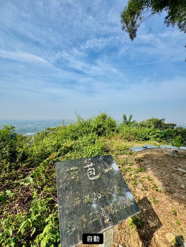 古坑地母廟走荷苞山(登山步道)訪小溪子山_2947136