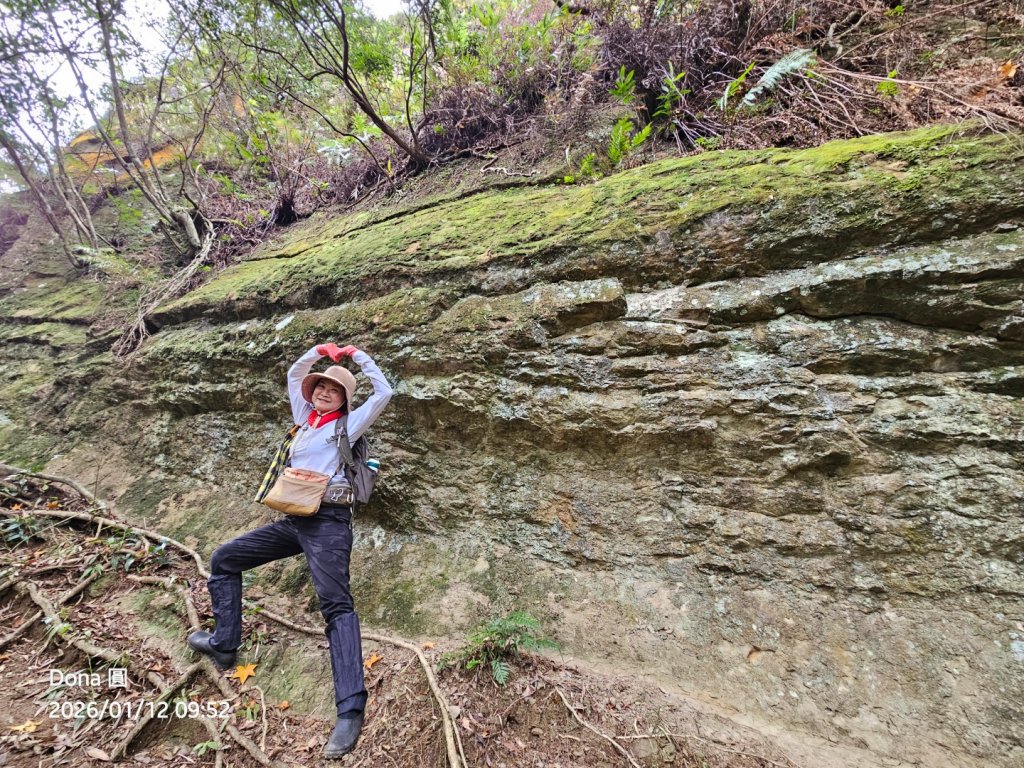 20260112月扇湖山&四分子古道O走+烏塗溪步道_2986534