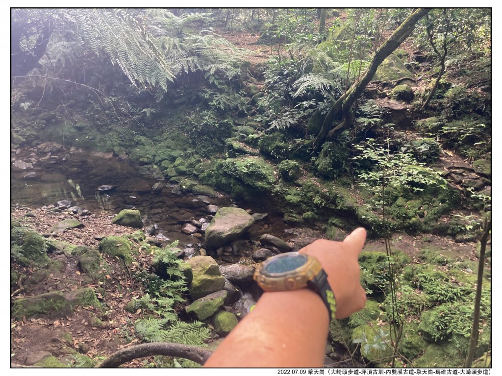 2022.07.09 〖大崎頭步道〗〖內雙溪古道〗【擎天崗】〖瑪礁古道〗【新圳頭山】〖大崎頭步道〗_1775259