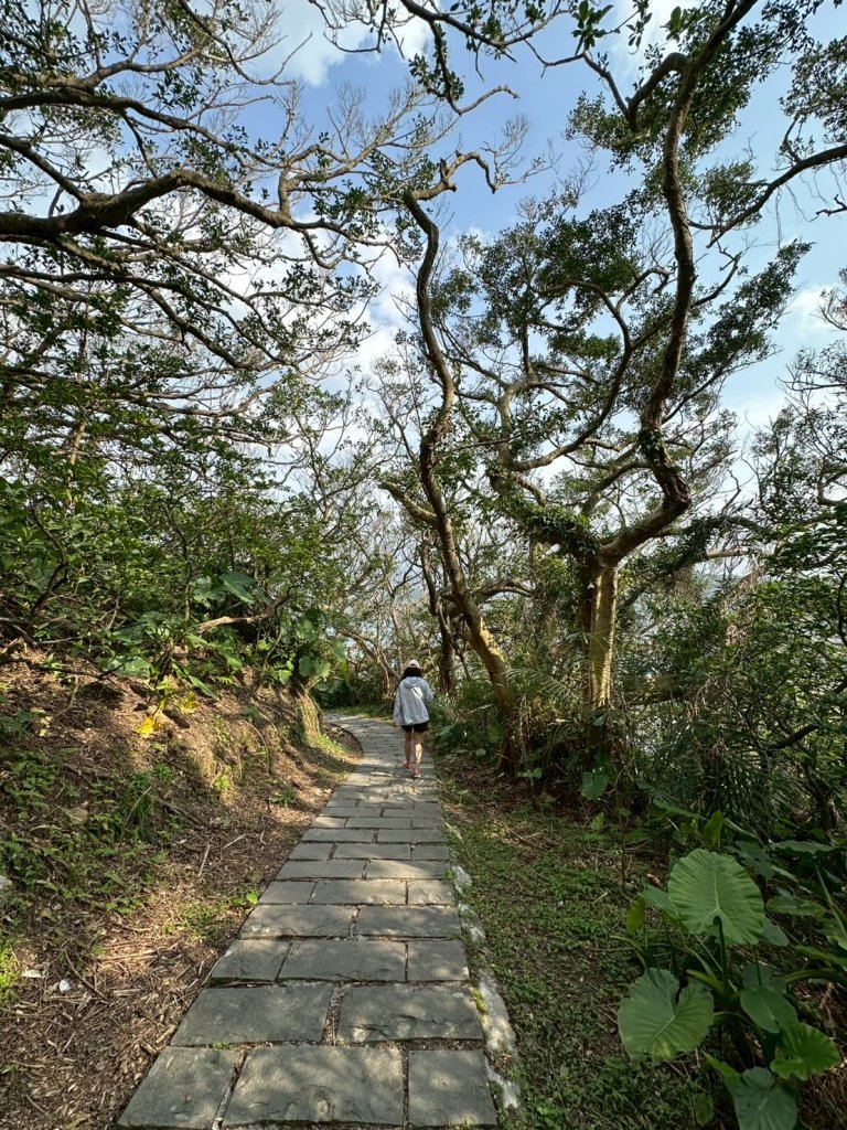 20250404忘憂谷步道_2755446