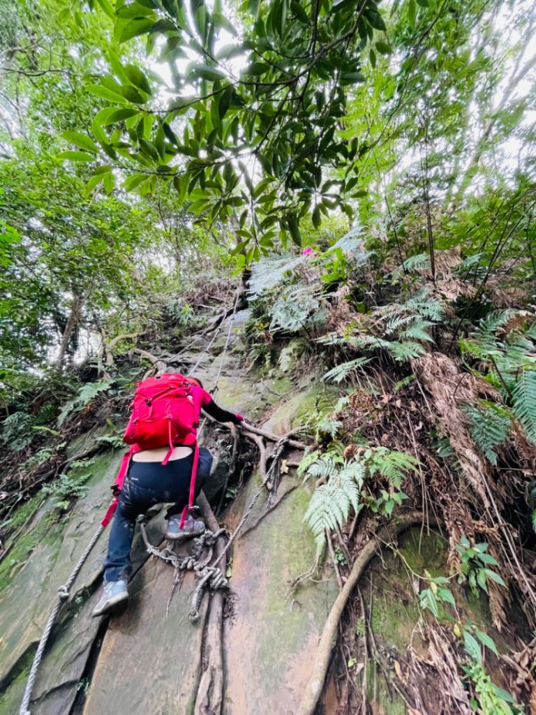 面鐵（桃園金山面山-打鐵寮）縱走_1619667