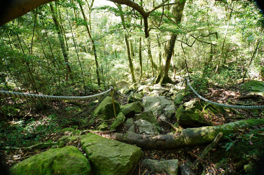 台中 和平 鳶嘴山_2926897