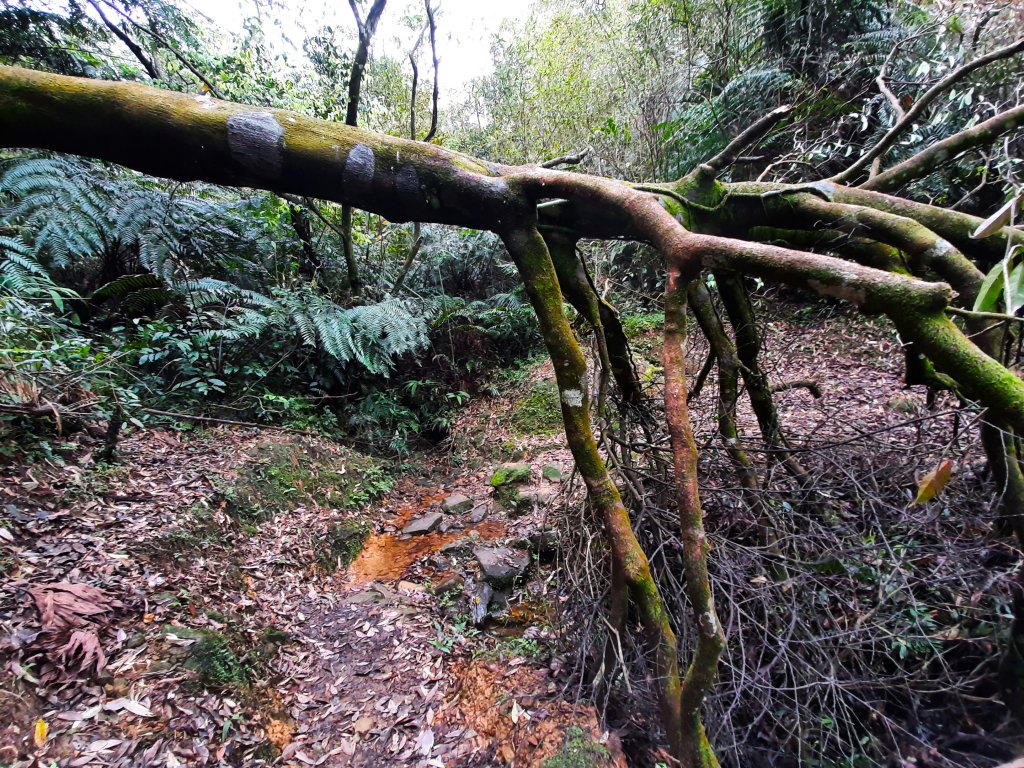 好美！想賴著不走..._1318614