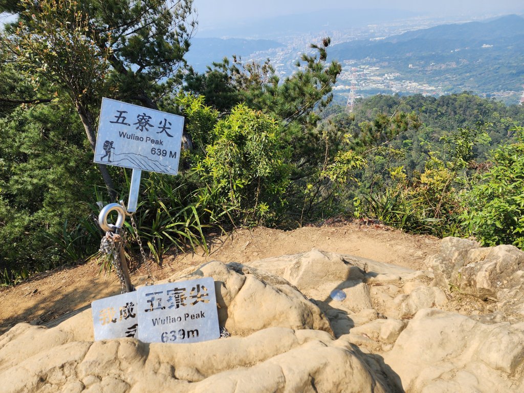 20250323慈湖草嶺山 ~ 五寮尖_2781053