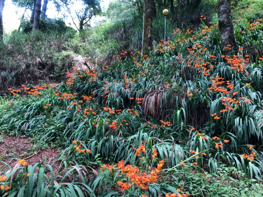 20190727屏風山單攻記事_637607