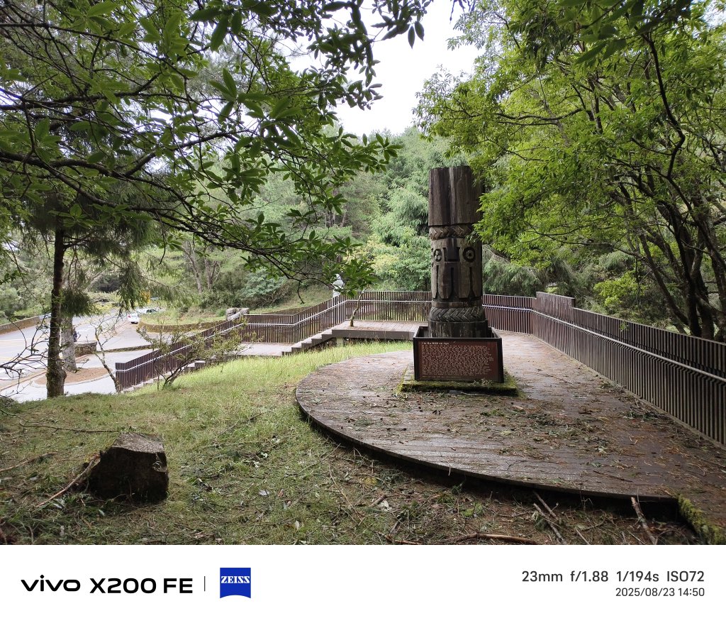 [玉山尋寶任務-05/12] 2025_0823 塔塔加步道(大鐵杉登山步道)_2869697