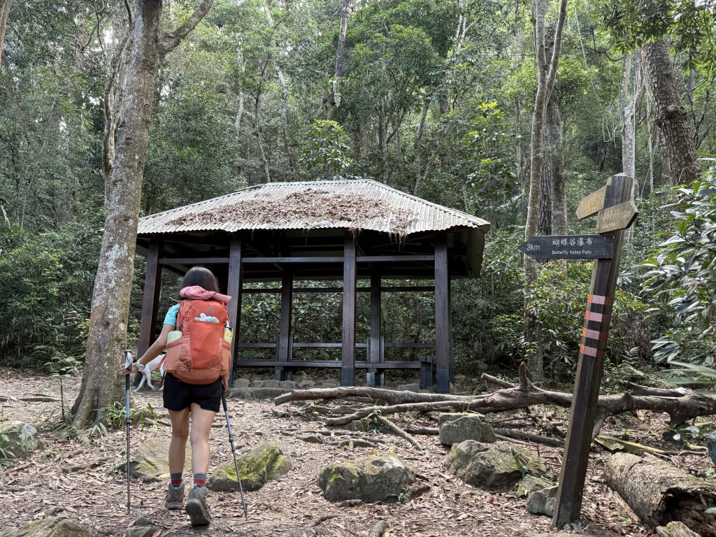唐麻丹+蝴蝶谷O繞_2887828