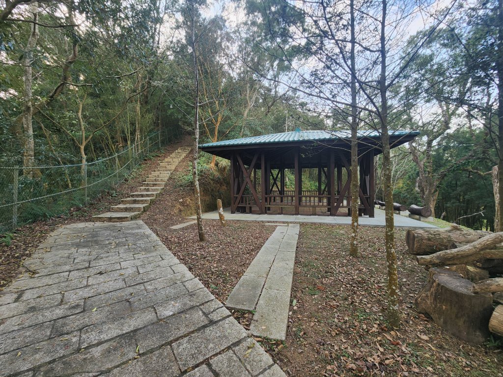 2026022面桶寮山小分林山大分林山_3013052