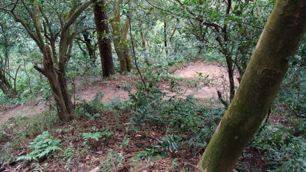 天氣晴更要出去走走!_223909