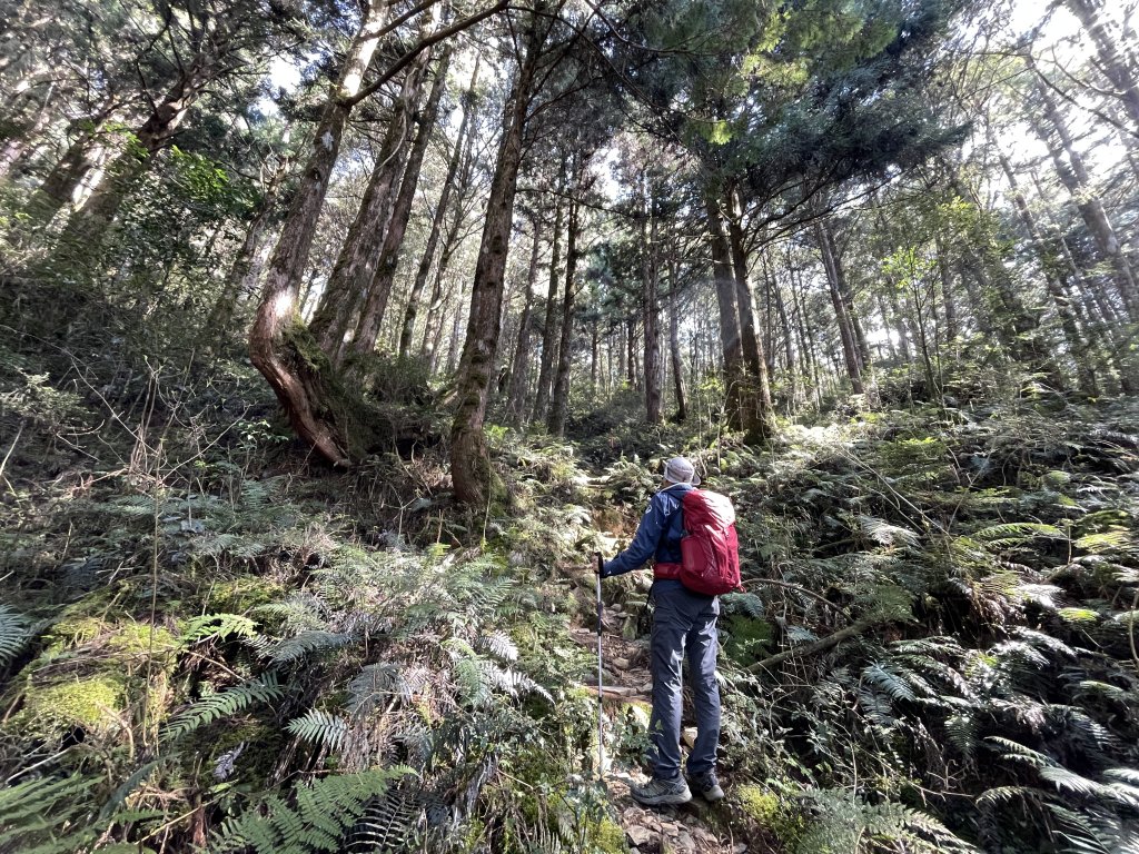 魔幻森林三星山與三星池_1658255
