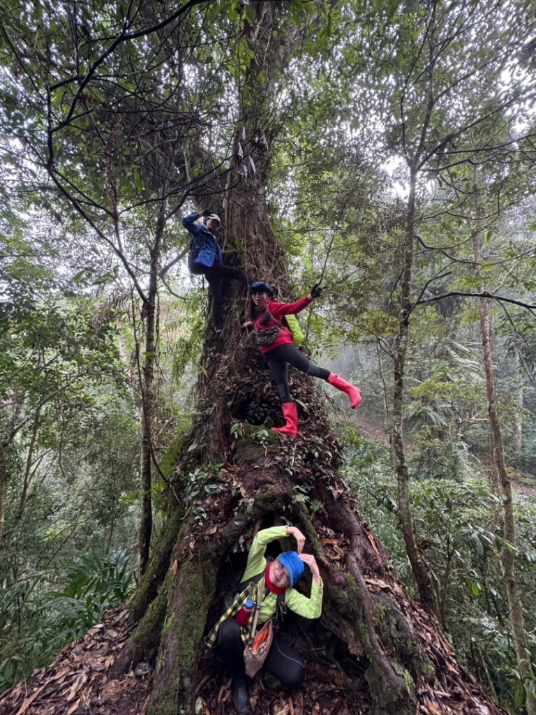 小百岳馬那邦山(H1407m)加碼採草莓_2694707