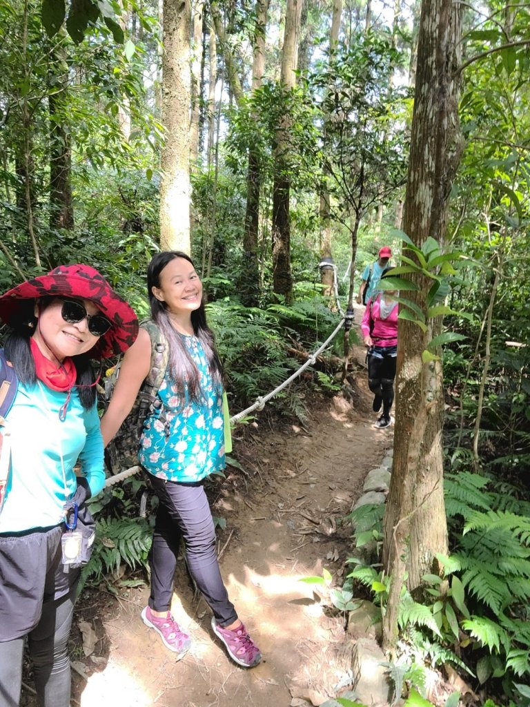 桶後越嶺古道怎麼那麼優秀_1072942