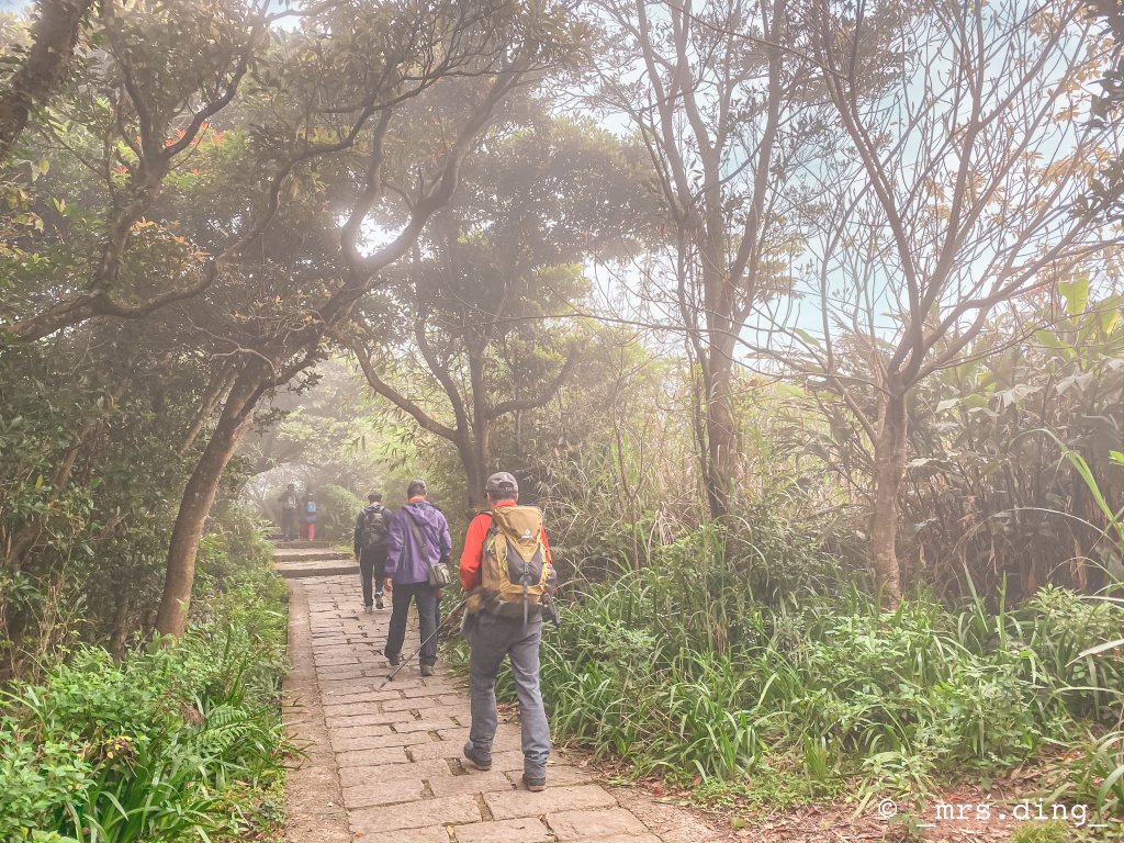 ＜小百岳＞新北市．觀音山(硬漢嶺)_915029