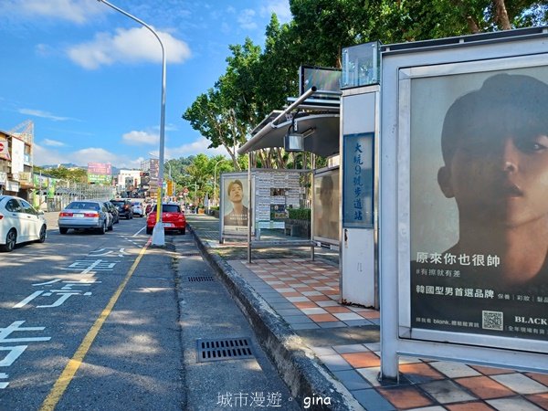 【台中北屯】第一次遇上大坑步道群起霧。 大坑三號步道_2695120