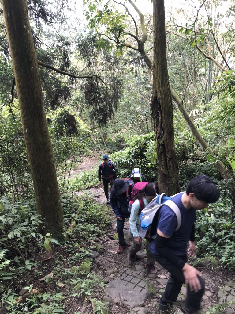 五指山之龜_915863