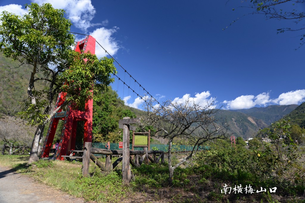 南橫梅山口訪梅之旅_255320