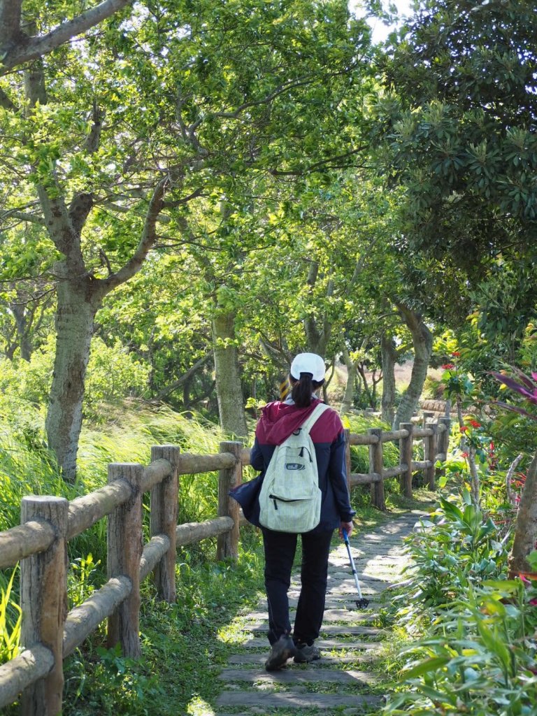 《台中》龍井竹坑南寮登山步道O型_915514