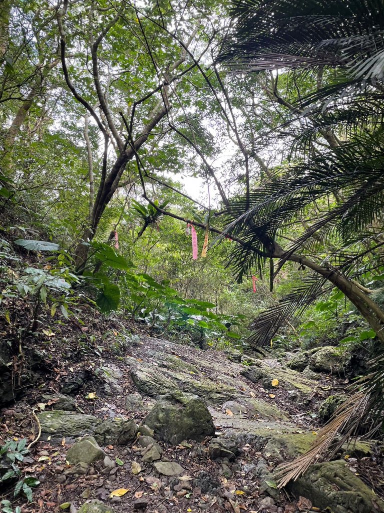 230211-戰況激烈的南迴小百岳#079 女仍山。今天真的是艷陽天嗎？??泥濘程度直逼大雨過後。_2040290