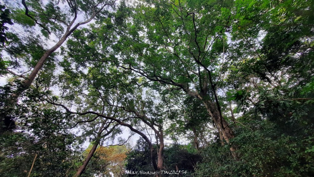 《新竹》城市微旅｜十八尖山+香山濕地賞蟹步道20251101_2928399