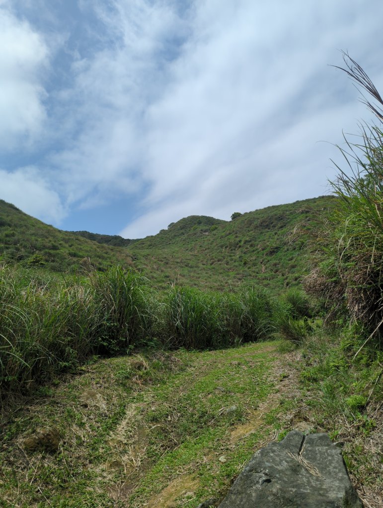 2025.04.27－金包里大路~小油坑縱走_2770931