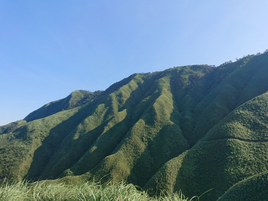 去了還想再去的抹茶山（聖母山莊）_1029603