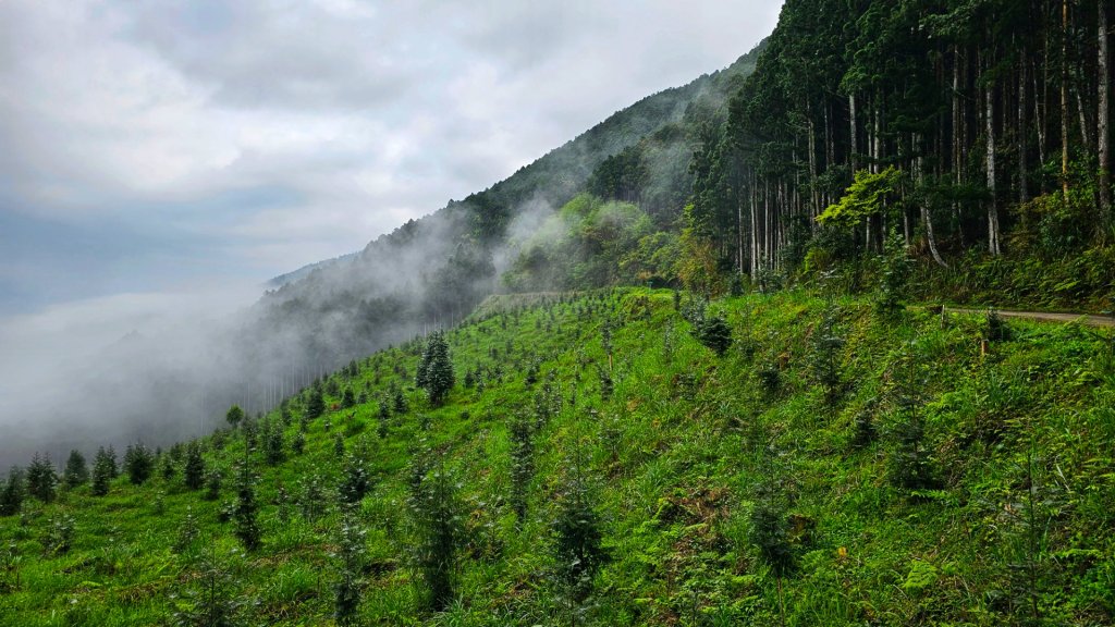 112.04.08 油羅山_2123538