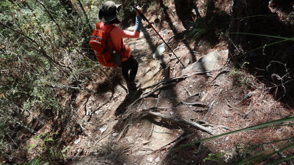 志佳陽大山登山健行趣(百岳47號)_1922604