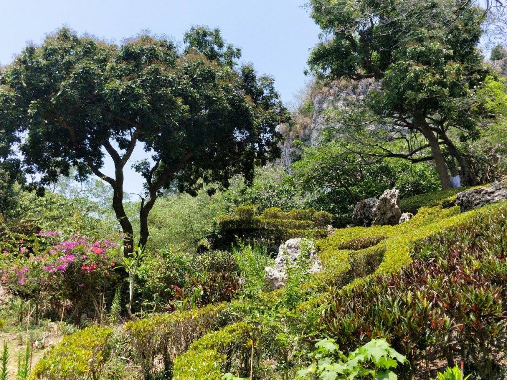 柴山步道(北柴山)_335125