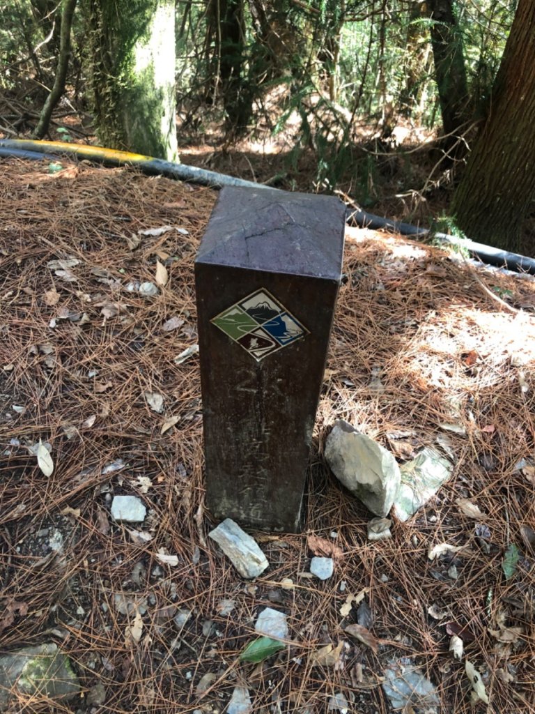 20200130南華光被八表行_820896