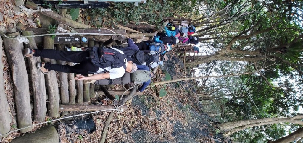 大坑四號_頭嵙山外加黑山與石苓湖山（頭嵙南峰）_2038994