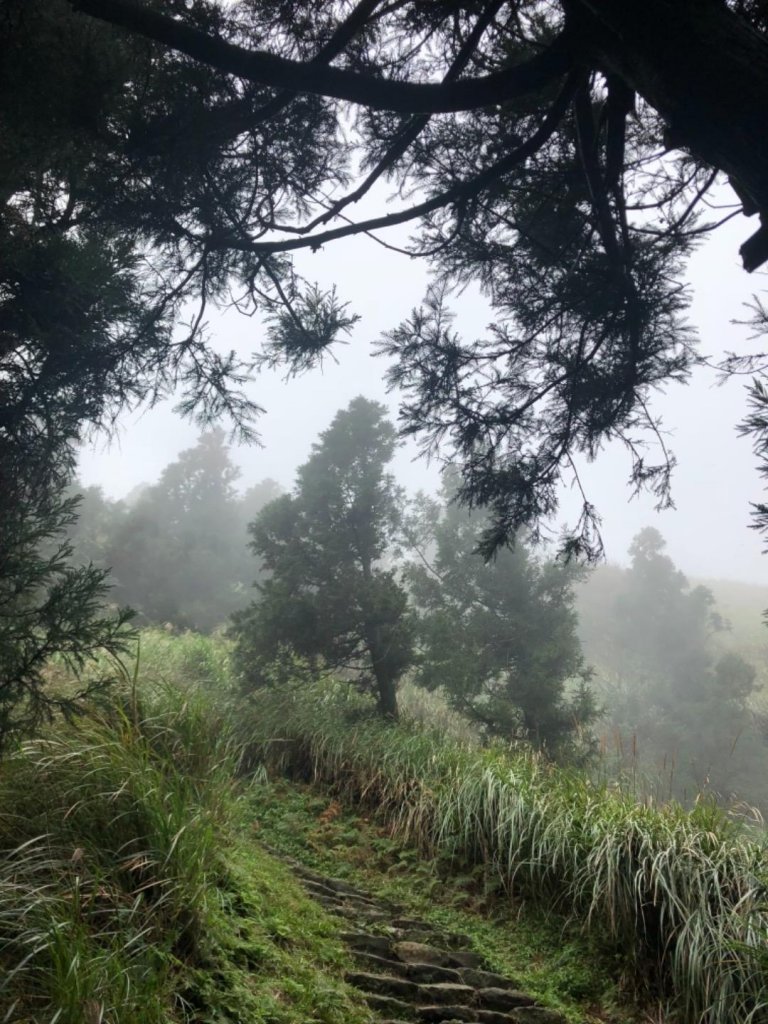 七星山主東峰20181115_461010