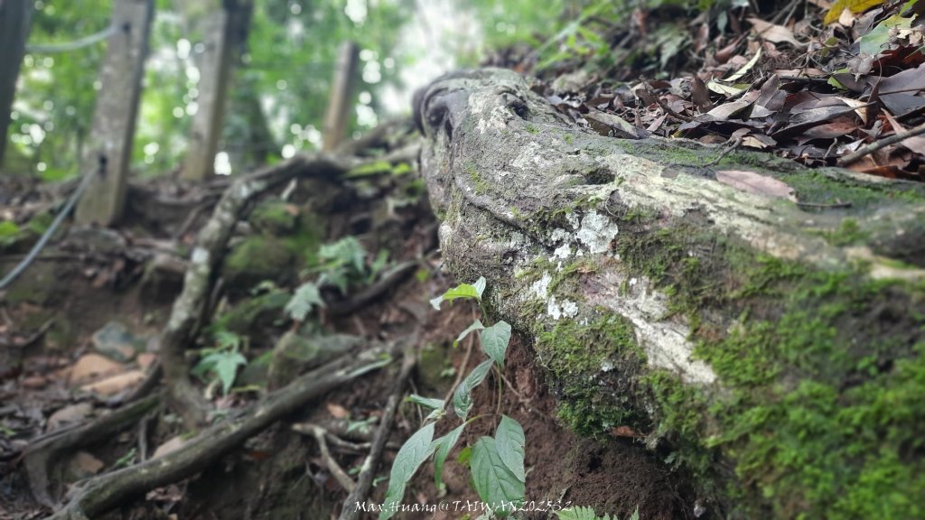 《雲林》望好望角｜石壁山嘉南雲峰步道(中側登山口）20250607_2805333