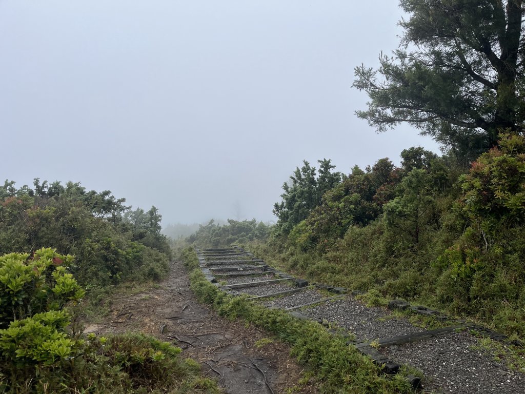 [玉山尋寶任務-01/12] 2025_0726 庫哈諾辛山登山步道_2847453