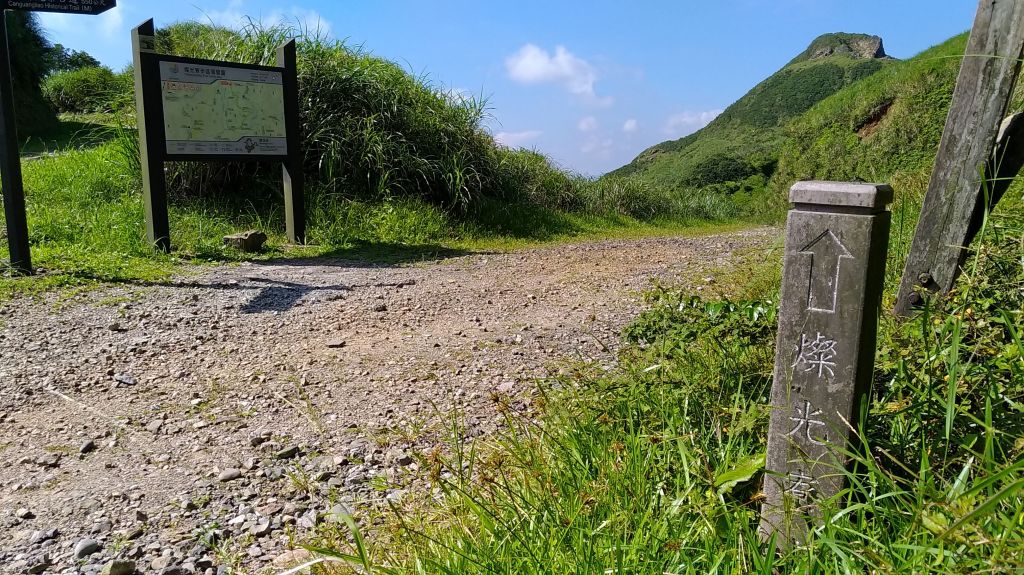 燦光寮山、黃金三稜_141679
