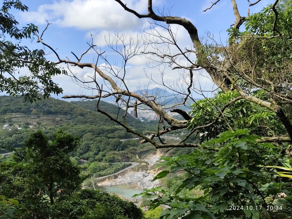 天母→猴洞→湖山→半嶺→第二展望臺→陽峰古道→花田花草集【發現陽明山】2-1封面圖