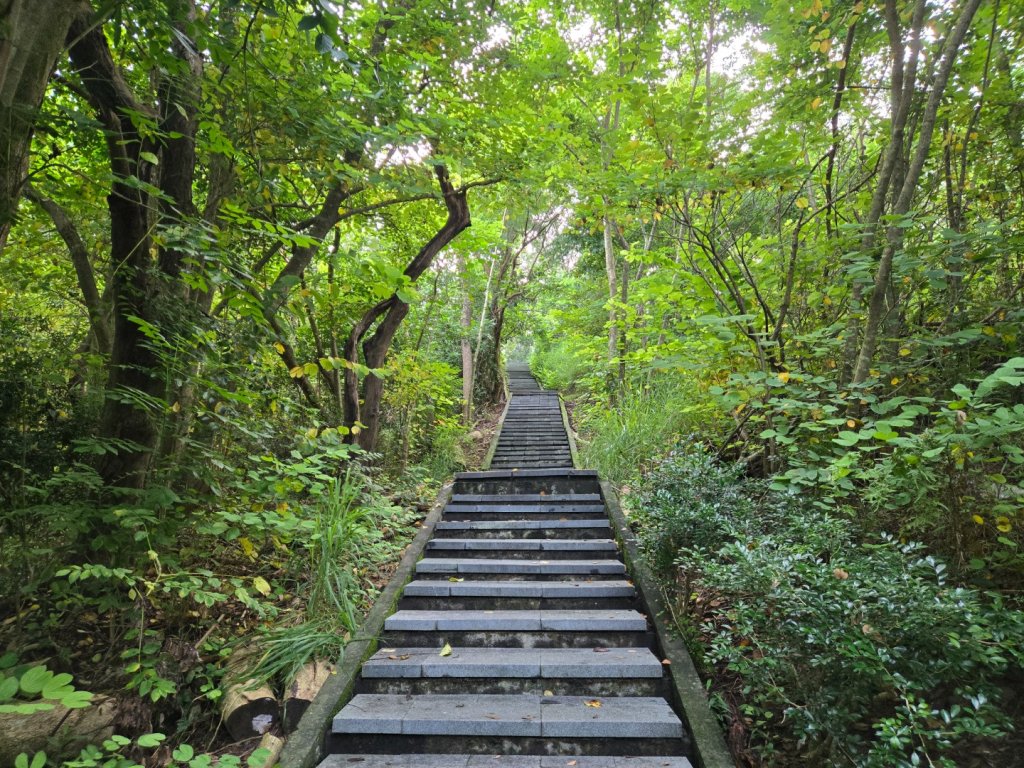 虎頭埤環湖步道（新化虎頭山）_2890922