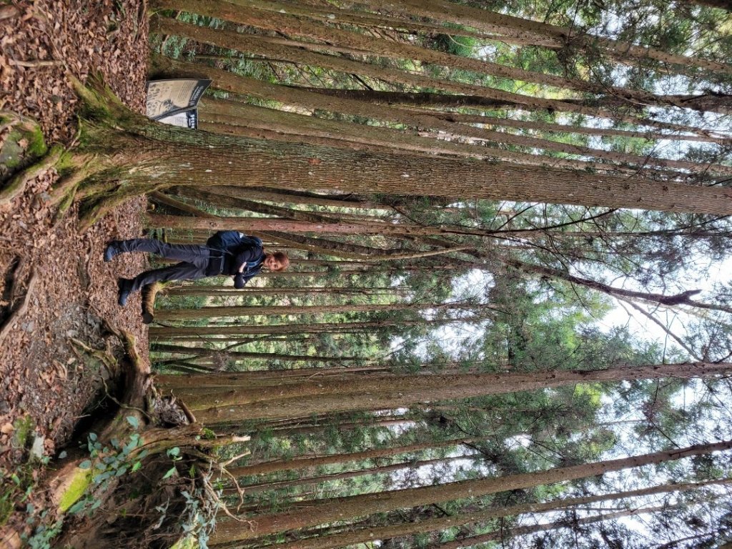 霞喀羅古道全段順登石鹿大山_1291718