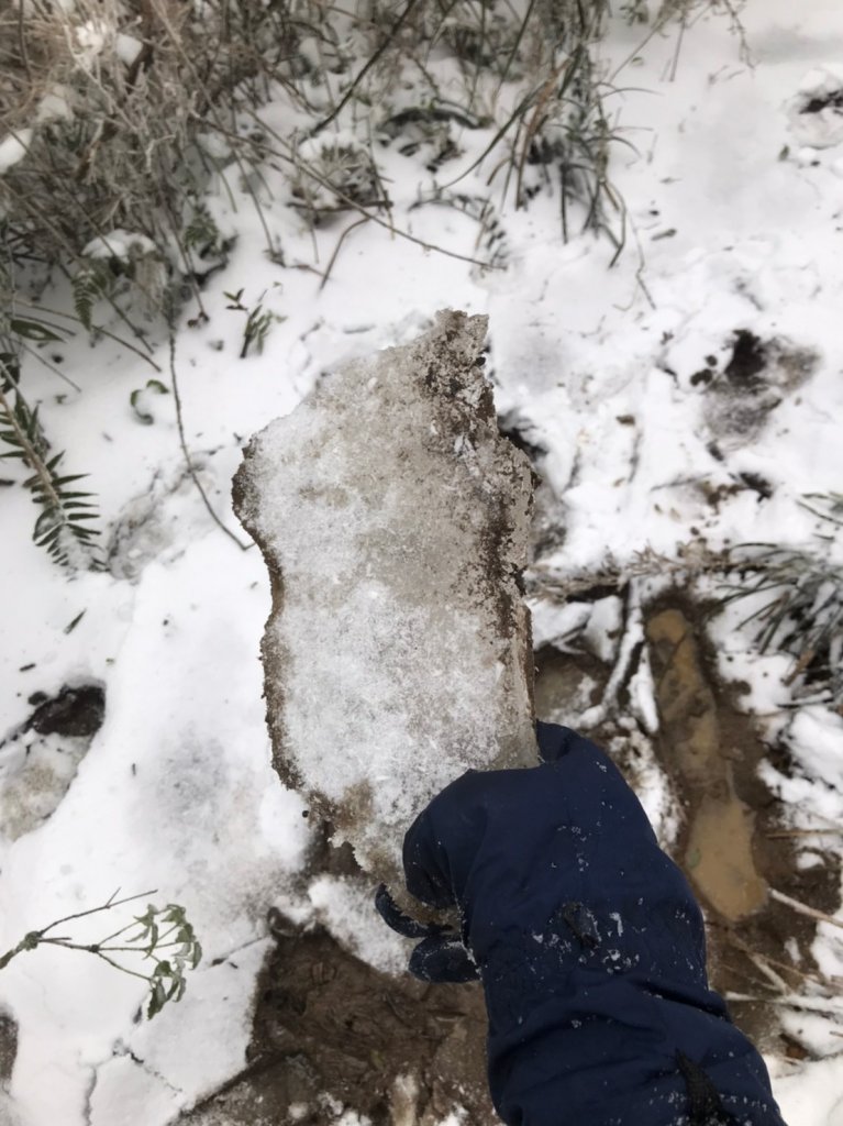 “那一夜，祂白了頭” @卡保山_1233806