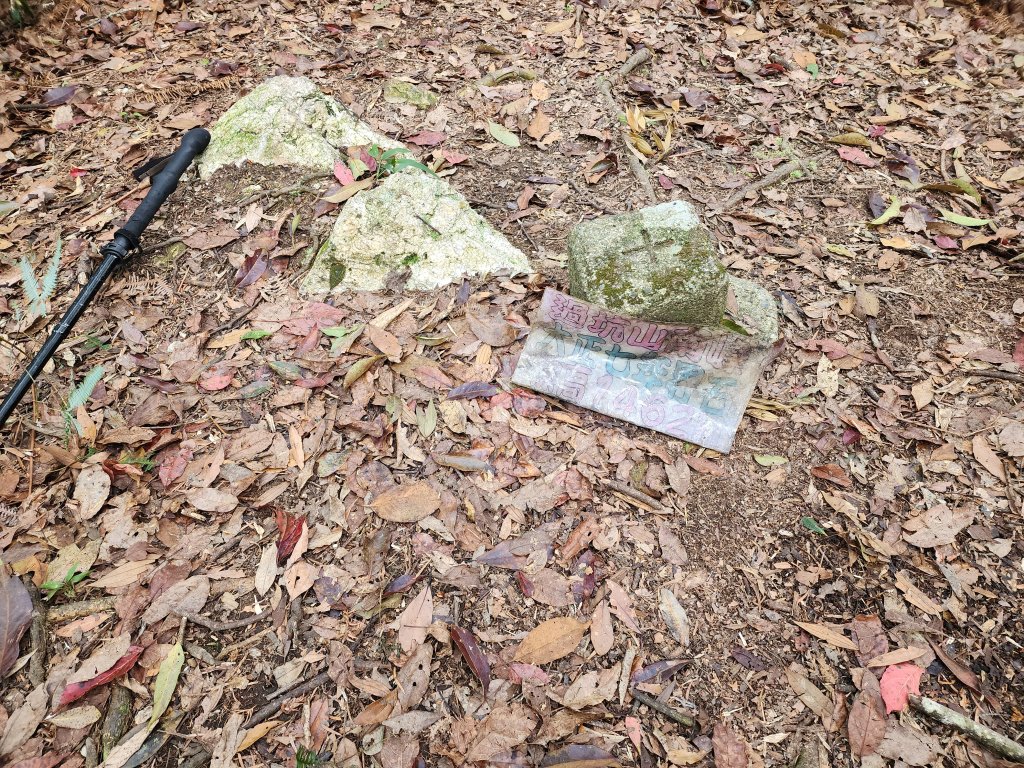 20240128過坑山大尖山_2435239