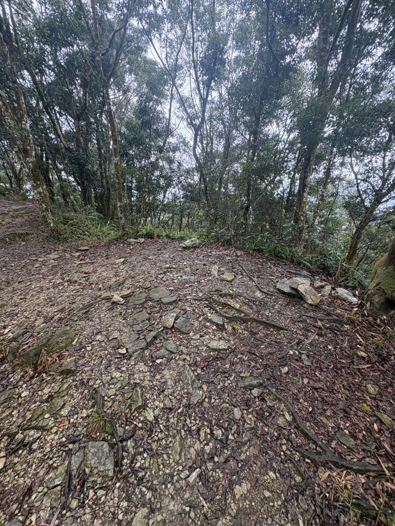 20251227尾寮山登山步道_2970541